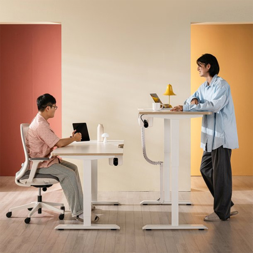 뉴 듀얼모터 높이조절 모션데스크 프로